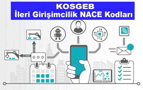 KOSGEB Nace Kodları